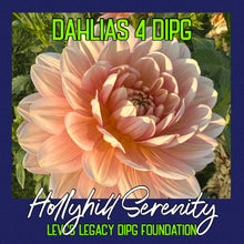 Load image into Gallery viewer, Hollyhill Serenity
