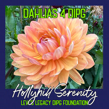 Load image into Gallery viewer, Hollyhill Serenity
