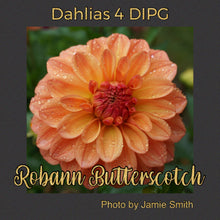 Load image into Gallery viewer, Robann Butterscotch
